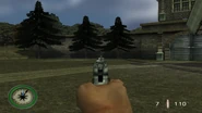 Iron sights
