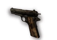 M1911's model.