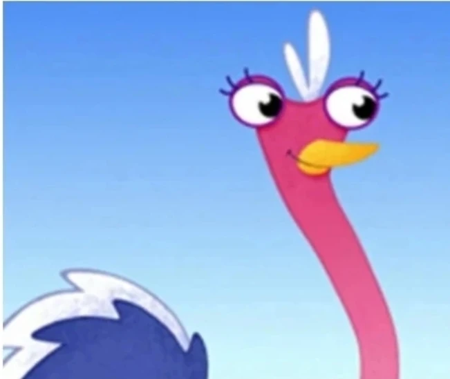 Arabian Ostrich (Struthio camelus syriacus) Media Animals And