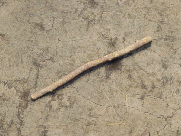 Stick, Medieval Dynasty Wiki