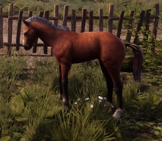 Horse | Medieval Dynasty Wiki | Fandom