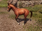 Horse | Medieval Dynasty Wiki | Fandom