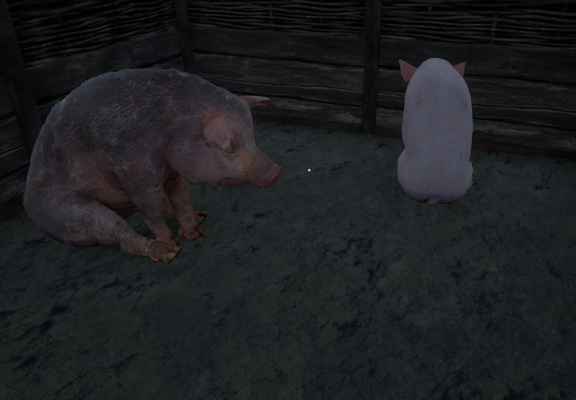 Schweine | Medieval Dynasty Wiki | Fandom
