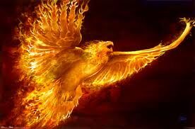 Phoenix - The Mythical Bird That Never Dies 