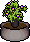 Large Plant2.png