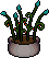 Large Plant1.png