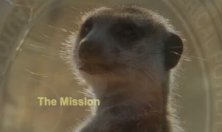 The Mission.jpg