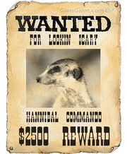 VYM059 JimBob Hannibal wanted.jpg