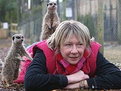 The Meerkats Of Summer Farm Meerkats Wiki Fandom
