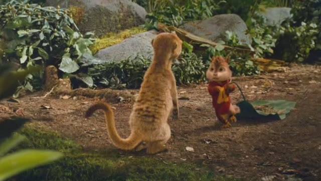 Meerkat Cameos | Meerkats Wiki | Fandom