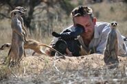 Filming the Meerkats