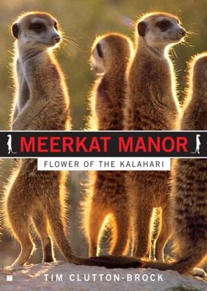 Flower of the Kalahari Book