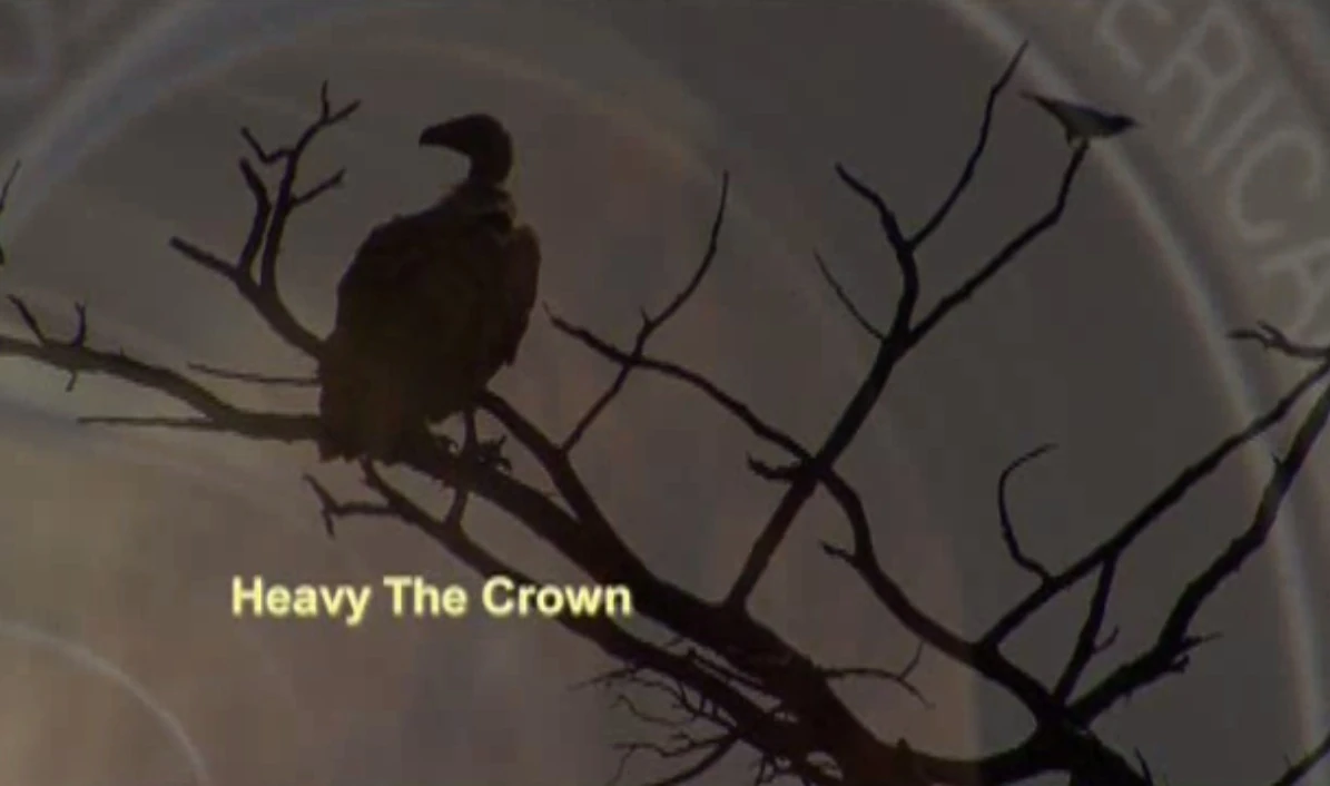 Heavy the Crown Meerkats Wiki Fandom