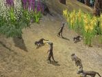 Wildlife Park 2 Crazy Zoo (PC)