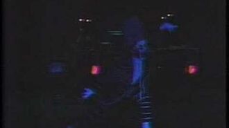 Teddy_Bear,_Live_1989