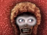 Die in Terror