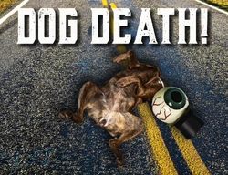 Newsmachine-DeadDog