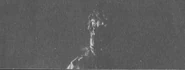 Ape2.png (246 KB) Ape 2