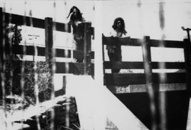 Deltanudes1970
