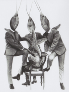 The Crayfish Beatles, from the 2018 reissue
