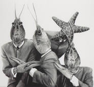 The Crayfish Beatles, from the 2003 reissue