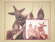 Evidence-crawfish