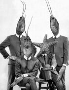 The Crayfish Beatles, from the 2003 reissue