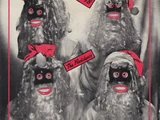 Santa Dog '78
