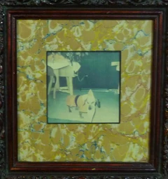 Santadog-originalpic-20sycamorestreet