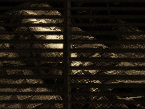 Tumblr lzwss1N3SK1rohjx5o1 500