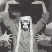 Luchador