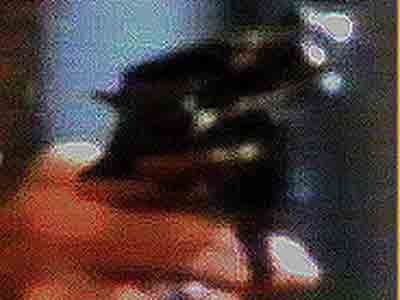Bog-rocgun2cuweb.jpg
