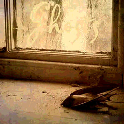 Hb12-ghosts