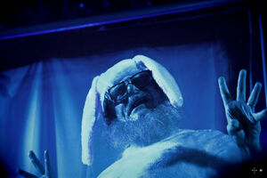 BunnyOnStage