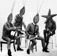 The Crayfish Beatles, from the 2003 reissue