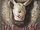 The Bunny Boy (song)