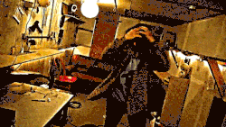 Newsmachine-BunnysBackTitle522px