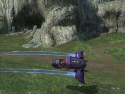 Reach 17579923 Medium.jpg