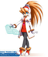 Rockman Ciel Proyect | Mega Man Fanon Wiki | Fandom