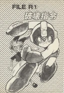 Rockman Remix Hakai Shinrei.jpg (1.18 MB) Hakai Shinrei