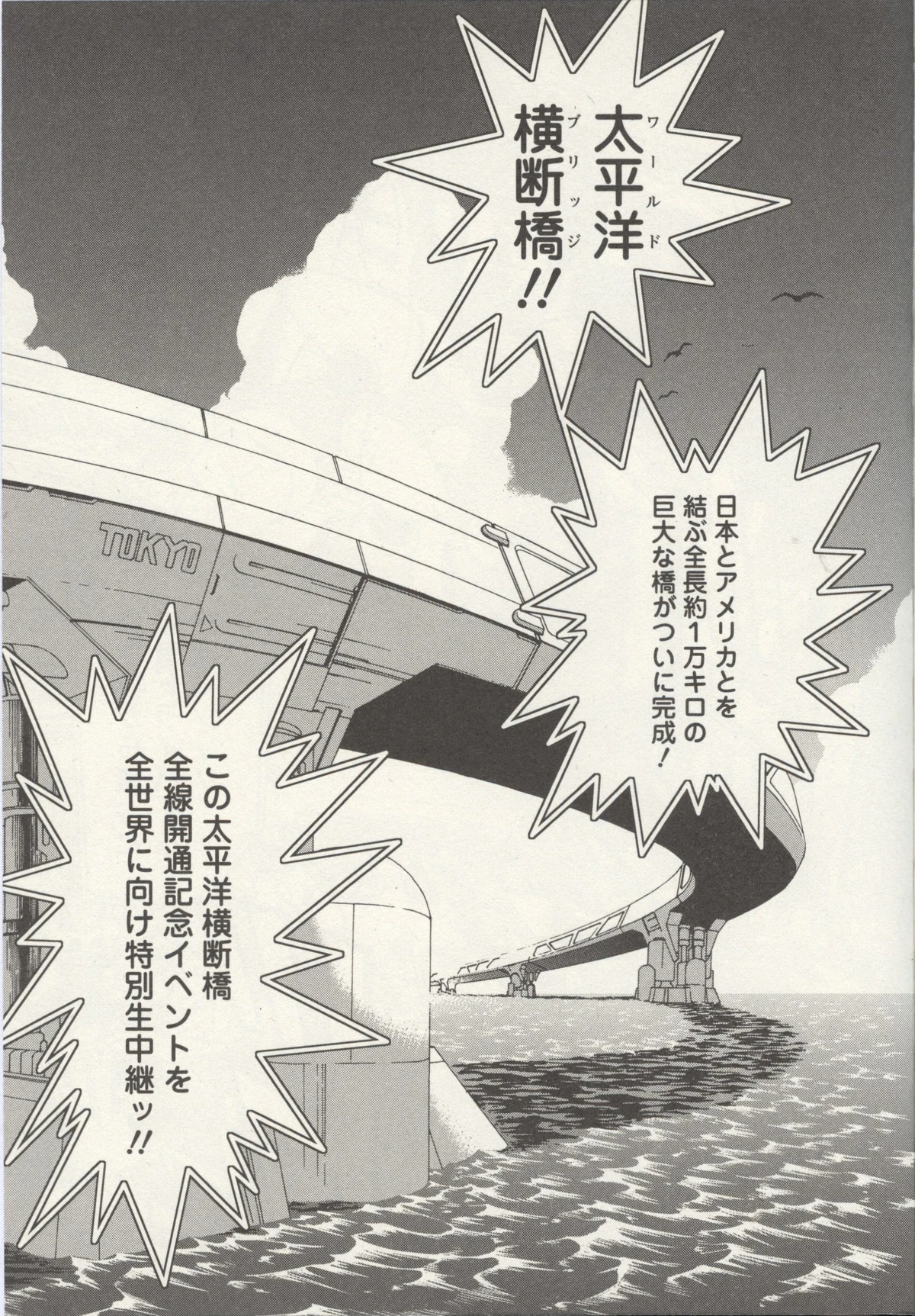 World Bridge MMKB Fandom