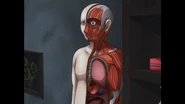 A human body diagram.