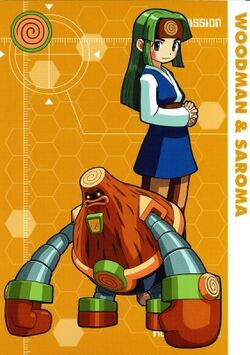 Rockman EXE Postcard Book | MMKB | Fandom Rockman EXE Postcard Book | MMKB | Fandom