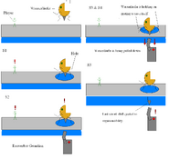 Wasserläufer 4