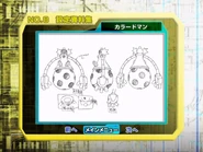 ColoredMan （カラードマン）