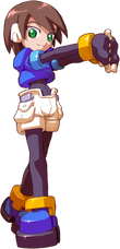 ZX Aile