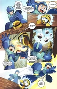 Met in the Mega Man comic.