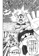 Cold Man in the Rockman & Forte manga.