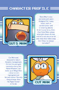 MegaMan1CharacterProfiles3