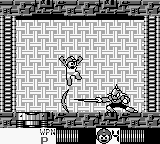 Enker's maximum projectile